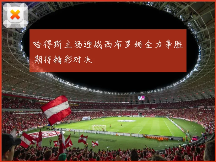 哈得斯主场迎战西布罗姆全力争胜期待精彩对决